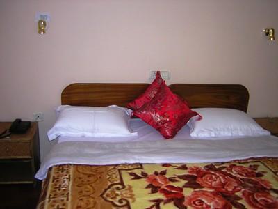 Tripvillas @ Snow Lion Homestay Дарджилинг Экстерьер фото